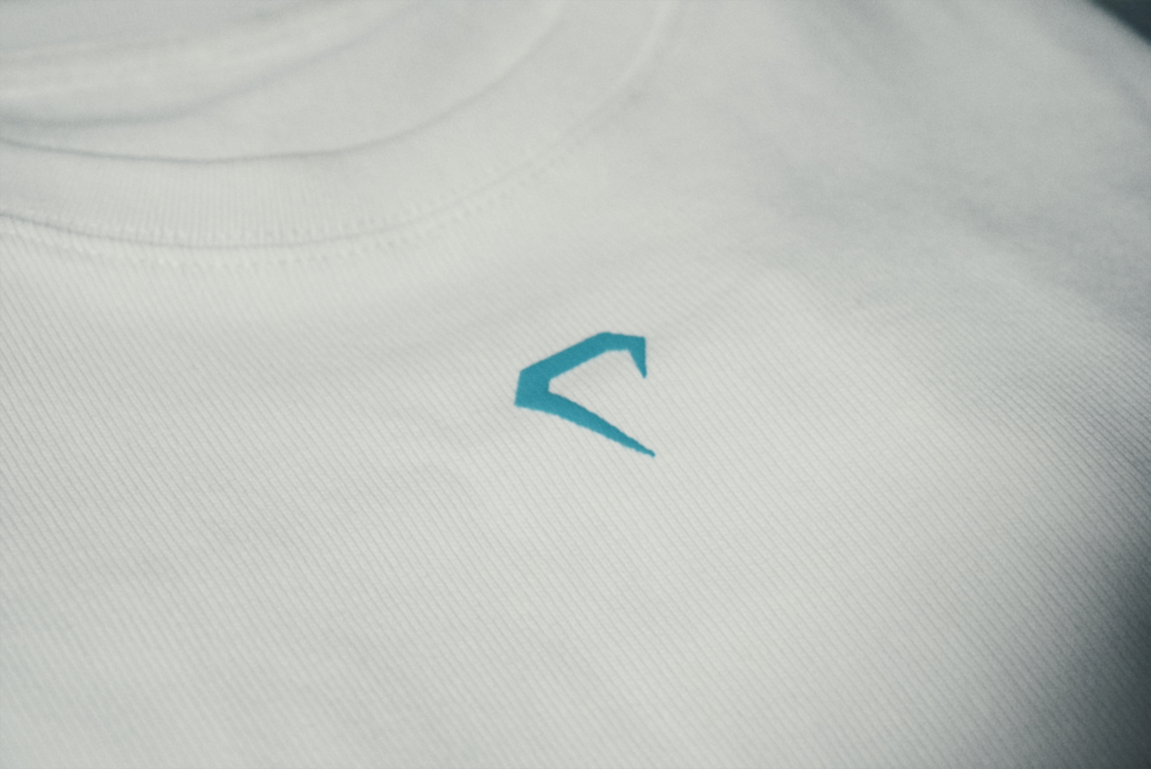 DFN CO Signature Heavyweight Tee